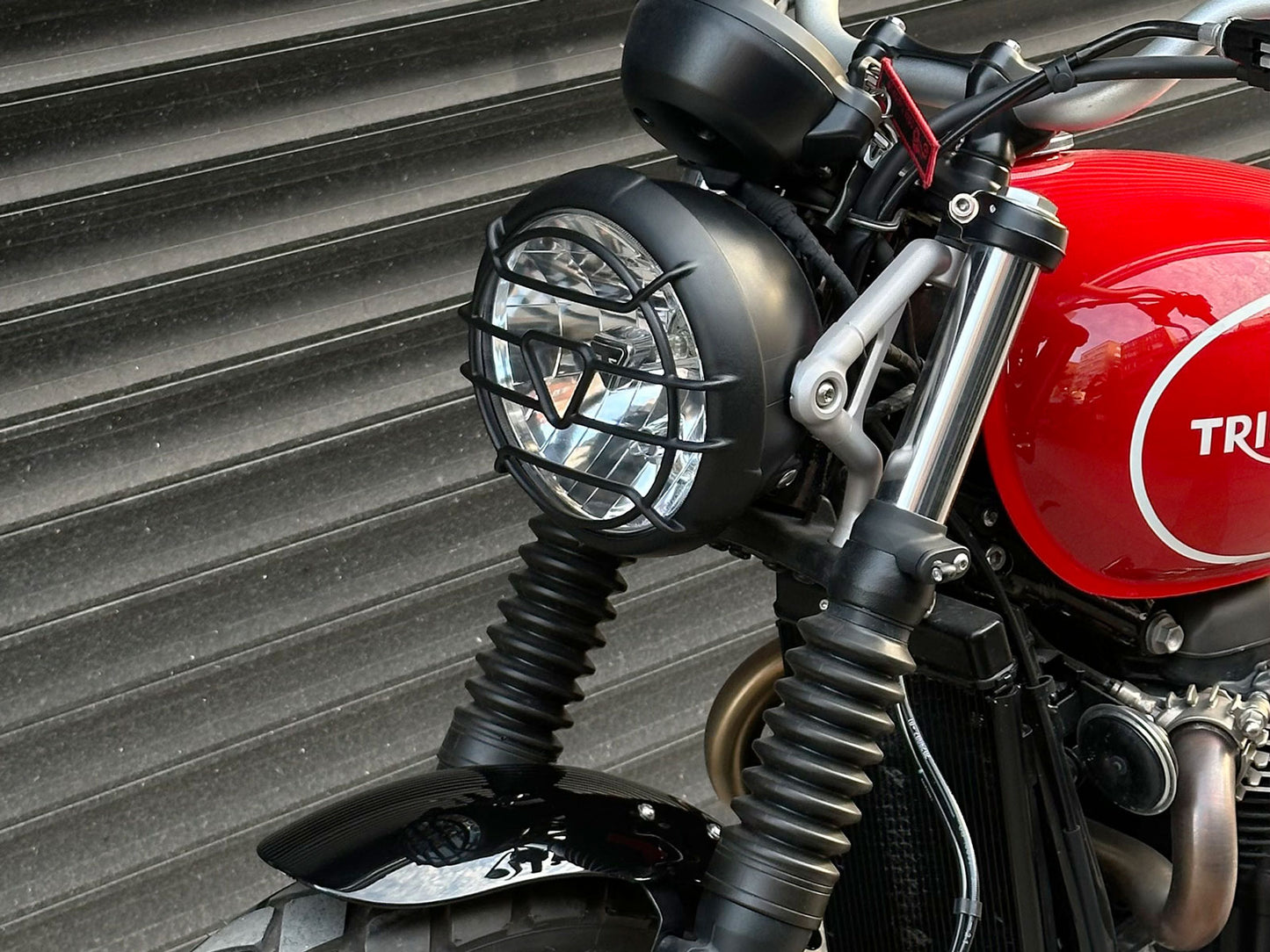 Triumph Headlight Grill Guard On motorcycle