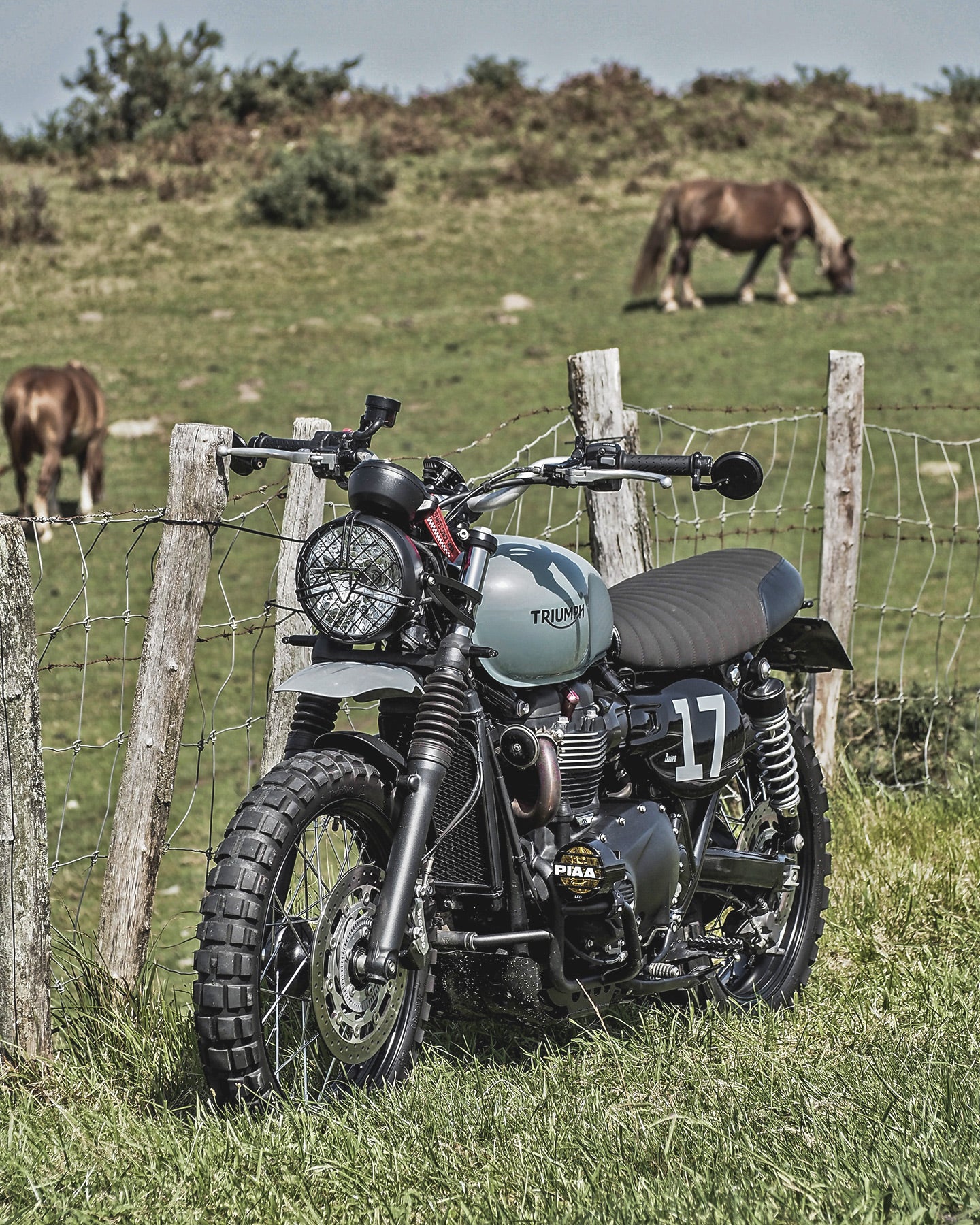 Street twin best sale off road